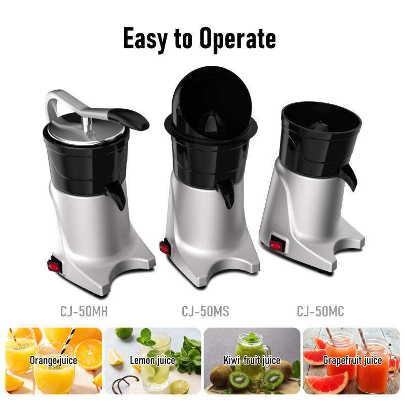 Kitchen Appliance Blender and  - Kitchen Appliances Are 리뷰 및 가격