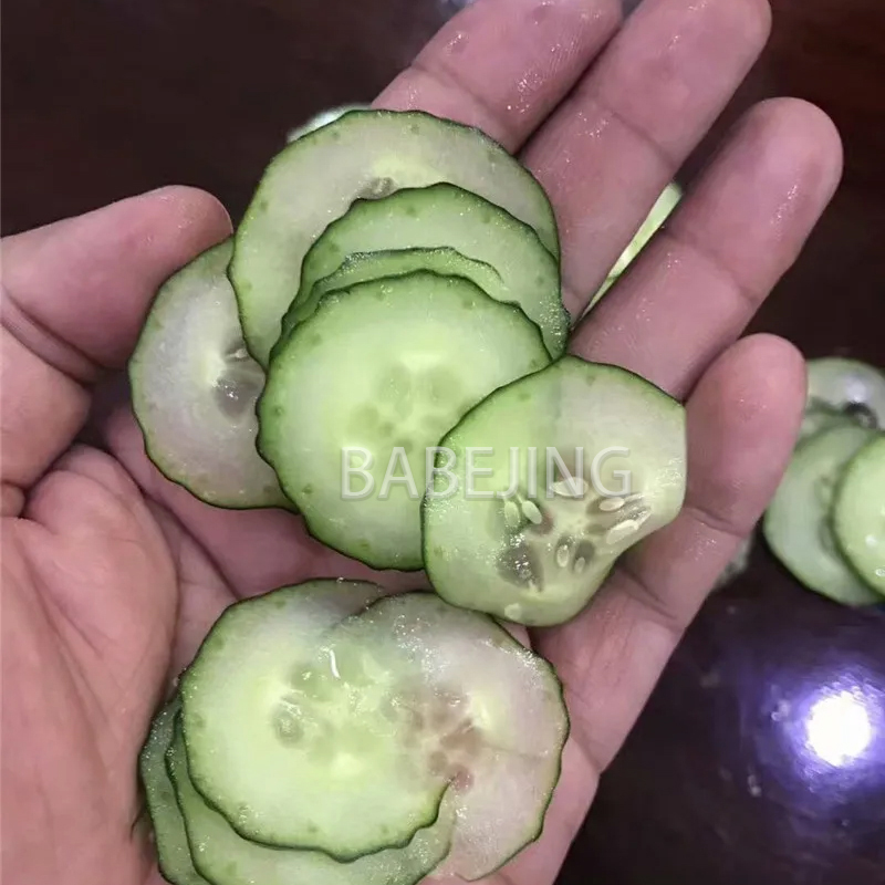 Electric Mini Scallion Chopper - Kitchen Appliances Are 리뷰 및 가격