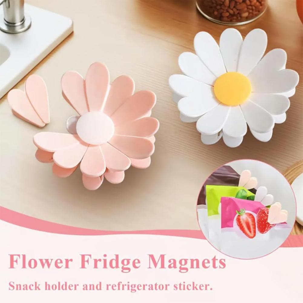 2-in-1 Magnetic Fridge Magnets - Kitchen Appliances Refrigerators 리뷰 및 가격